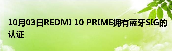 10月03日REDMI 10 PRIME拥有蓝牙SIG的认证