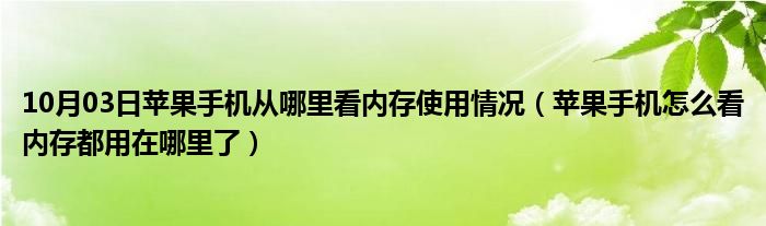 10月03日苹果手机从哪里看内存使用情况（苹果手机怎么看内存都用在哪里了）