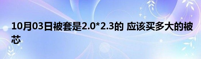 10月03日被套是2.0*2.3的 应该买多大的被芯