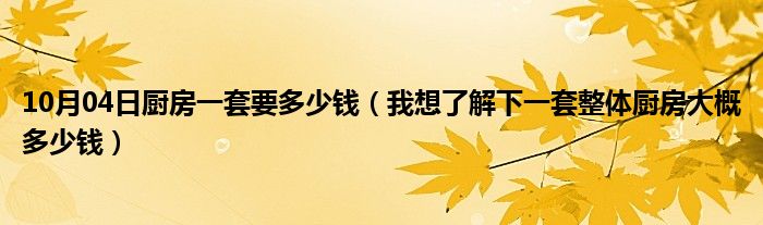 10月04日厨房一套要多少钱（我想了解下一套整体厨房大概多少钱）