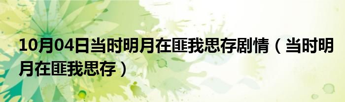 10月04日当时明月在匪我思存剧情（当时明月在匪我思存）