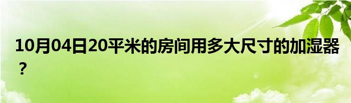 10月04日20平米的房间用多大尺寸的加湿器？