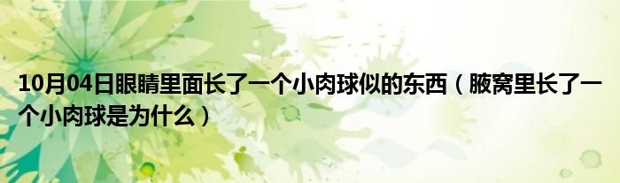 10月04日眼睛里面长了一个小肉球似的东西（腋窝里长了一个小肉球是为什么）