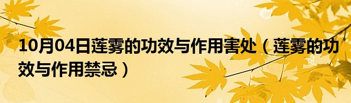 10月04日莲雾的功效与作用害处（莲雾的功效与作用禁忌）