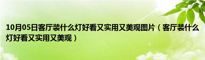 10月05日客厅装什么灯好看又实用又美观图片（客厅装什么灯好看又实用又美观）