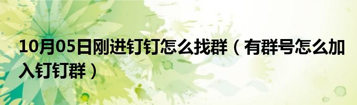 10月05日刚进钉钉怎么找群（有群号怎么加入钉钉群）