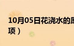 10月05日花浇水的原则（给花浇水的注意事项）