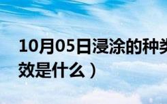 10月05日浸涂的种类分为哪几种（涂料的功效是什么）