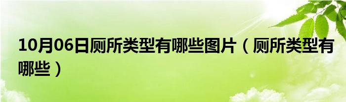 10月06日厕所类型有哪些图片（厕所类型有哪些）