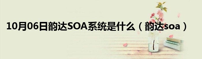 10月06日韵达SOA系统是什么（韵达soa）