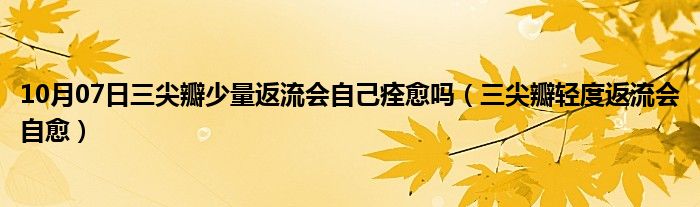 10月07日三尖瓣少量返流会自己痊愈吗（三尖瓣轻度返流会自愈）