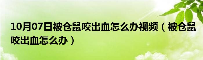 10月07日被仓鼠咬出血怎么办视频（被仓鼠咬出血怎么办）