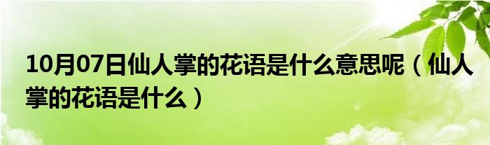 10月07日仙人掌的花语是什么意思呢（仙人掌的花语是什么）