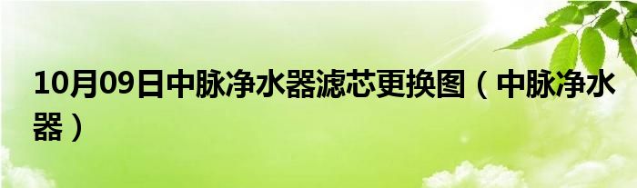 10月09日中脉净水器滤芯更换图（中脉净水器）