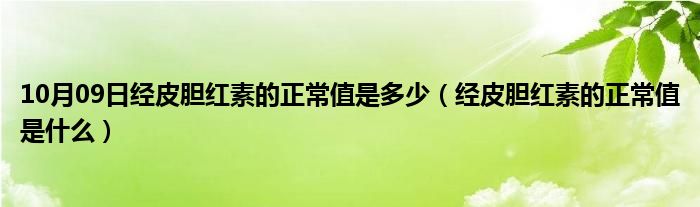 10月09日经皮胆红素的正常值是多少（经皮胆红素的正常值是什么）