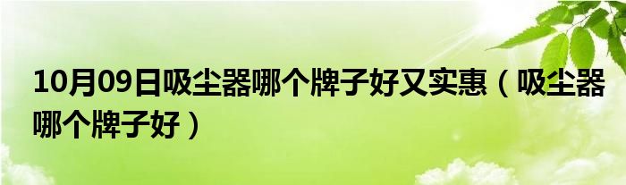 10月09日吸尘器哪个牌子好又实惠（吸尘器哪个牌子好）