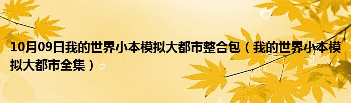 10月09日我的世界小本模拟大都市整合包（我的世界小本模拟大都市全集）