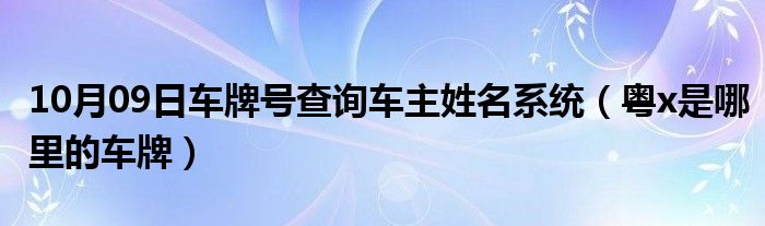 10月09日车牌号查询车主姓名系统（粤x是哪里的车牌）