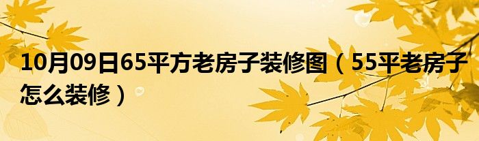 10月09日65平方老房子装修图（55平老房子怎么装修）