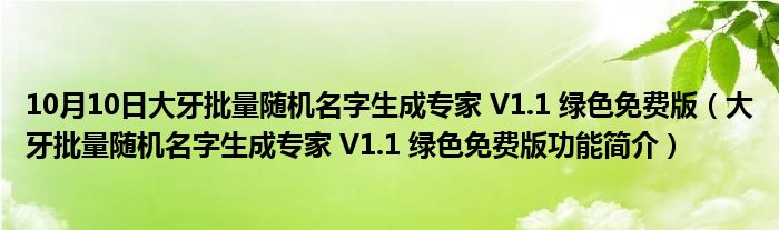 10月10日大牙批量随机名字生成专家 V1.1 绿色免费版（大牙批量随机名字生成专家 V1.1 绿色免费版功能简介）