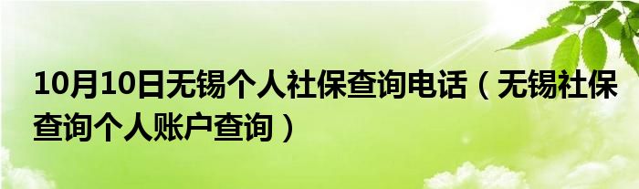 10月10日无锡个人社保查询电话（无锡社保查询个人账户查询）