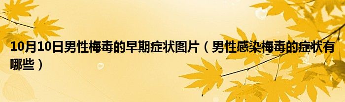 10月10日男性梅毒的早期症状图片（男性感染梅毒的症状有哪些）