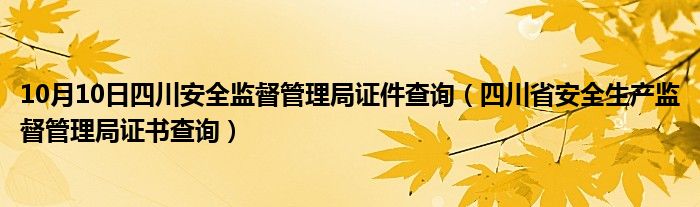 10月10日四川安全监督管理局证件查询（四川省安全生产监督管理局证书查询）