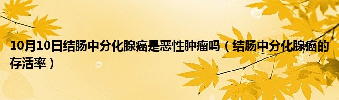 10月10日结肠中分化腺癌是恶性肿瘤吗（结肠中分化腺癌的存活率）