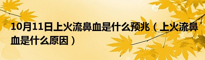 10月11日上火流鼻血是什么预兆（上火流鼻血是什么原因）