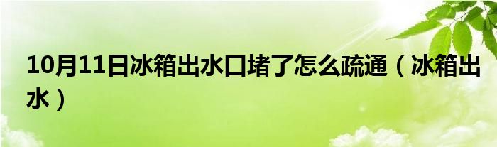 10月11日冰箱出水口堵了怎么疏通（冰箱出水）