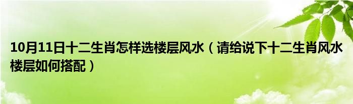 10月11日十二生肖怎样选楼层风水（请给说下十二生肖风水楼层如何搭配）