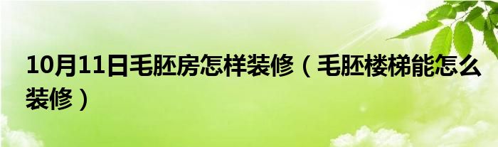 10月11日毛胚房怎样装修（毛胚楼梯能怎么装修）