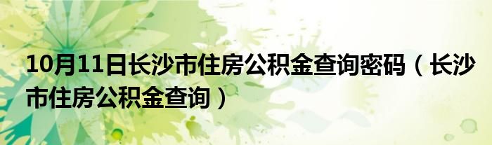 10月11日长沙市住房公积金查询密码（长沙市住房公积金查询）