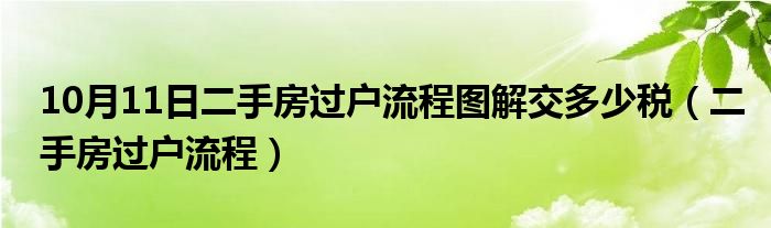 10月11日二手房过户流程图解交多少税（二手房过户流程）