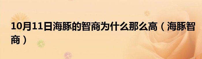 10月11日海豚的智商为什么那么高（海豚智商）