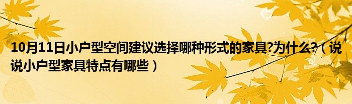 10月11日小户型空间建议选择哪种形式的家具?为什么?（说说小户型家具特点有哪些）