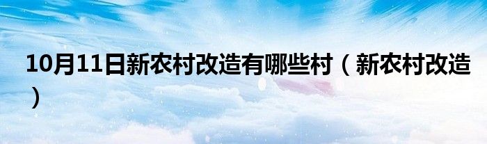 10月11日新农村改造有哪些村（新农村改造）