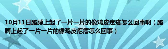 10月11日胳膊上起了一片一片的像鸡皮疙瘩怎么回事啊（胳膊上起了一片一片的像鸡皮疙瘩怎么回事）