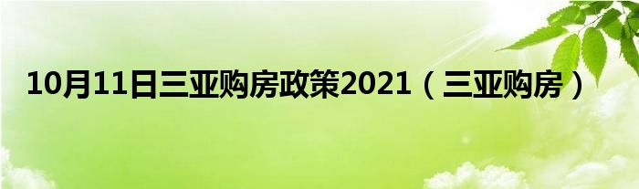 10月11日三亚购房政策2021（三亚购房）