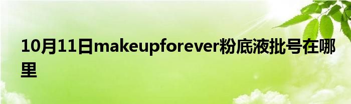 10月11日makeupforever粉底液批号在哪里