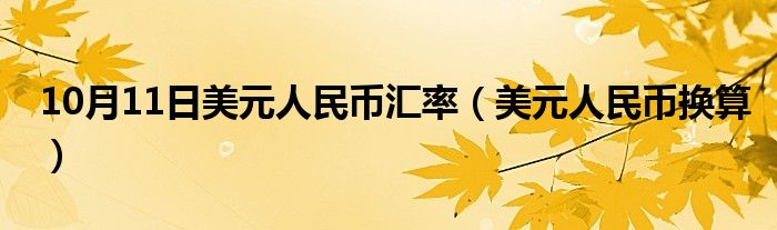 10月11日美元人民币汇率（美元人民币换算）