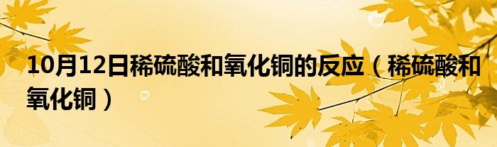 10月12日稀硫酸和氧化铜的反应（稀硫酸和氧化铜）