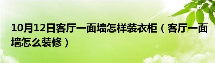 10月12日客厅一面墙怎样装衣柜（客厅一面墙怎么装修）