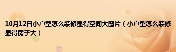 10月12日小户型怎么装修显得空间大图片（小户型怎么装修显得房子大）