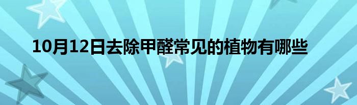 10月12日去除甲醛常见的植物有哪些