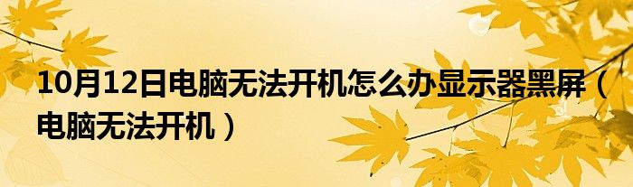 10月12日电脑无法开机怎么办显示器黑屏（电脑无法开机）