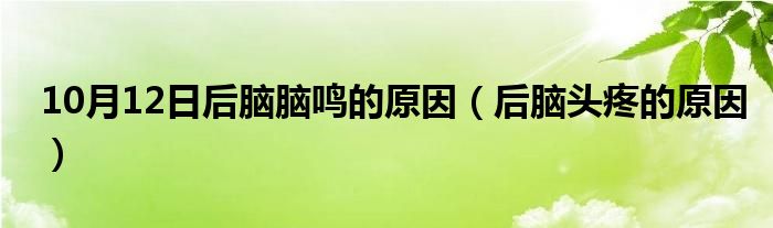 10月12日后脑脑鸣的原因（后脑头疼的原因）