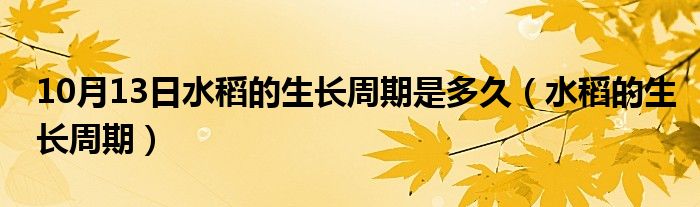 10月13日水稻的生长周期是多久（水稻的生长周期）