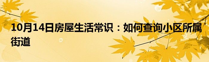 10月14日房屋生活常识：如何查询小区所属街道