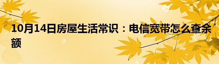 10月14日房屋生活常识：电信宽带怎么查余额